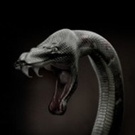 Süleyman Yıldırım