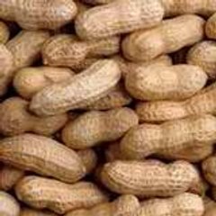 Peanut Industry