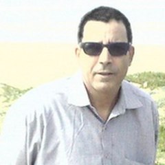 diaspora saharaui