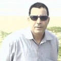 diaspora saharaui