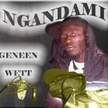 Ngandami Ngandami