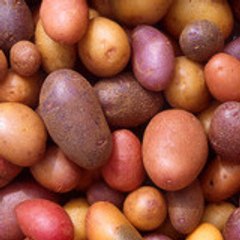 Patates Production