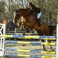 Marie Vergé-Cauquil