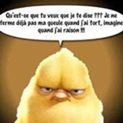 Nico Dri