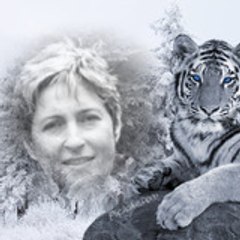 chantal giro