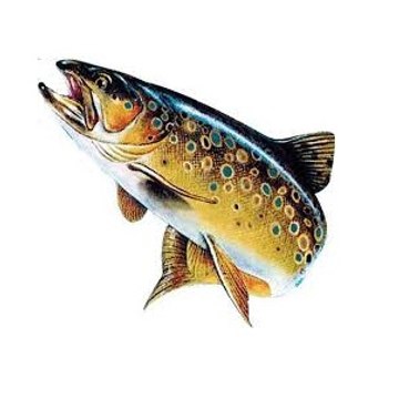 Lou Pescadou Nissart