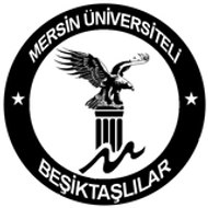 MersinUniBJK