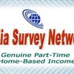 india-survey-network