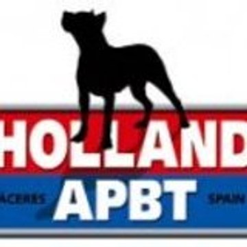 Pit Bull Informacion APBT