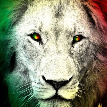 FEARLESS HEBREW