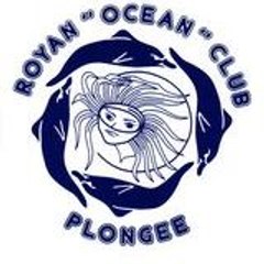 CLUB PLONGEE