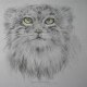 ArtManul