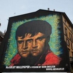 absolutwall