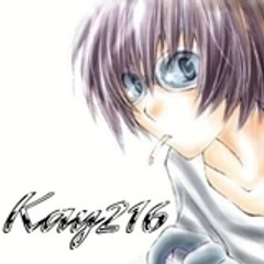 Kay216i