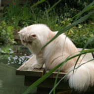 marie-hélène le guillerm