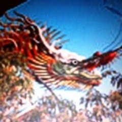 dragon421202