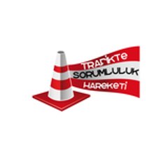 TS_Hareketi