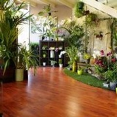 orchidees nice