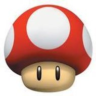 NoMushroomMario