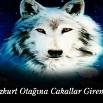tuncay34_58
