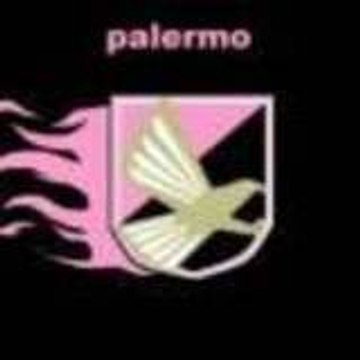 alcasurf
