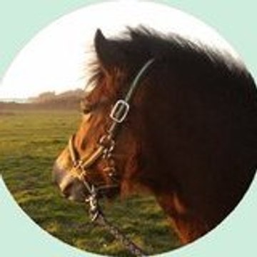 Ma-newforest