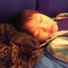 Yuko Niwa