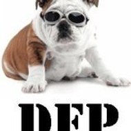 Dogs Freestyle Production