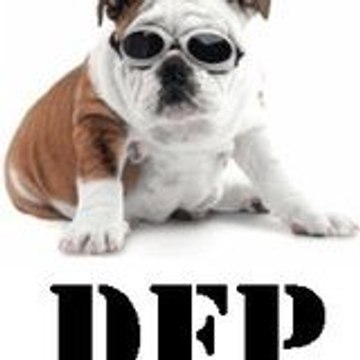 Dogs Freestyle Production