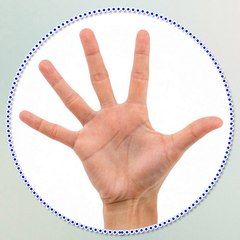 Top 5 Lạ Kỳ