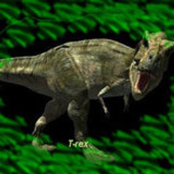 kongzillarex619