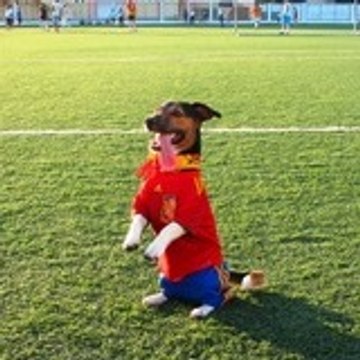 Jack Alonso Torres