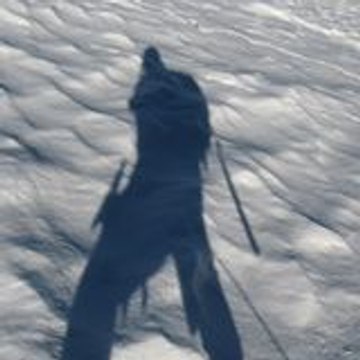 Alpescapade