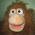 Woho Monkey