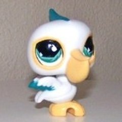 pajaritotw