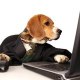 LuckyDogInvesting