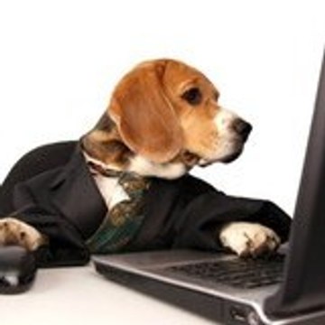 LuckyDogInvesting