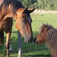 marianne démétriadis