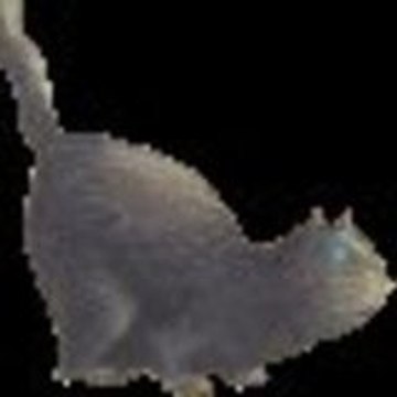 kater_23