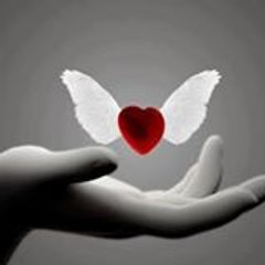 .meisser jocelyne
