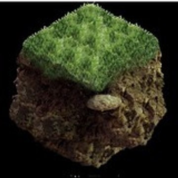 L'enfoirés à courte manches