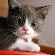 ⓝⓤⓡⓔⓣⓣⓘⓝ GüᄂΣЯ