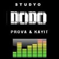 studyododo