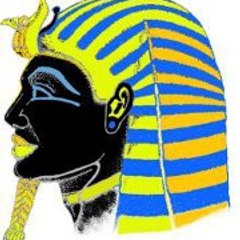 Meabed Mohamed