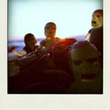 Wildzero Docteur Pangolin