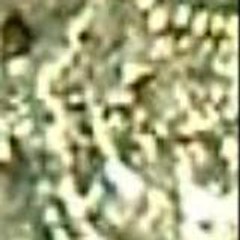 camihif