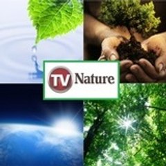 svt TV Nature