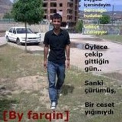 farqin amed