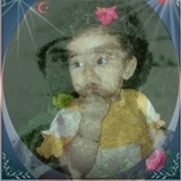 merdo1