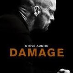 damage18